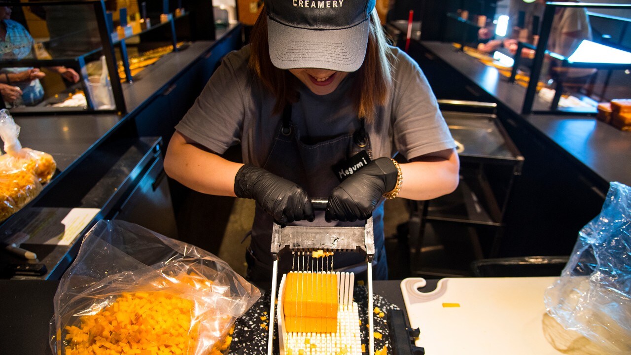 A worker cuts fresh cheese samples at Tillamook Cheese Factory. 