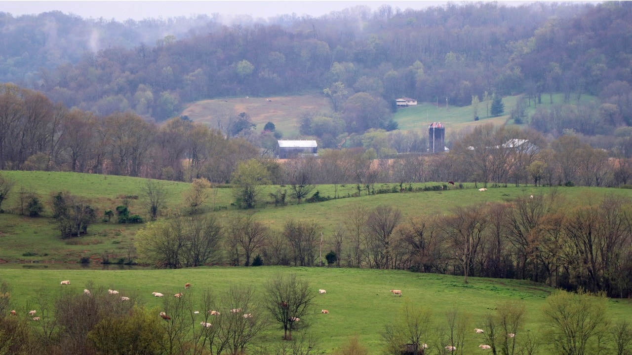 Morning mist covers the countryside.