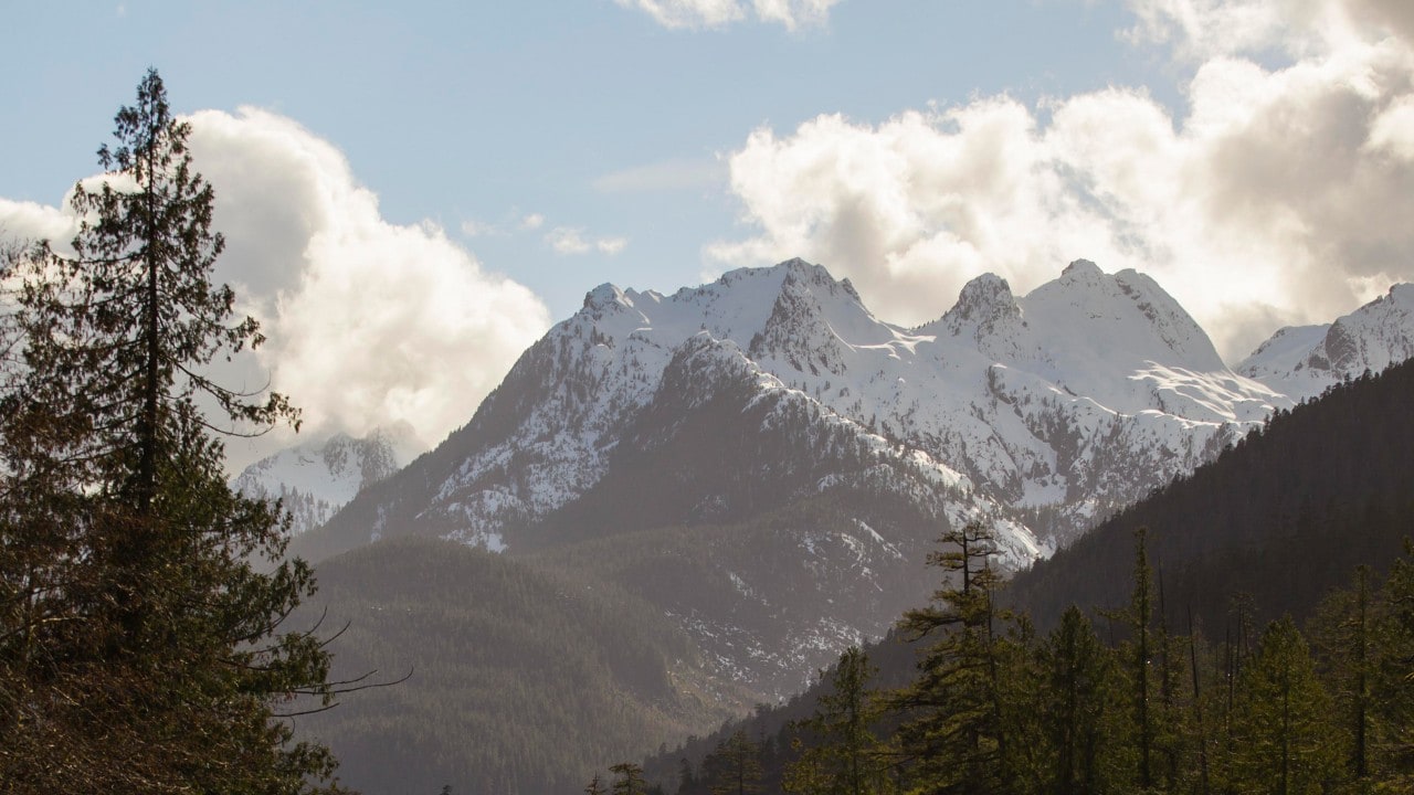 The trip to Tofino has stunning vistas.