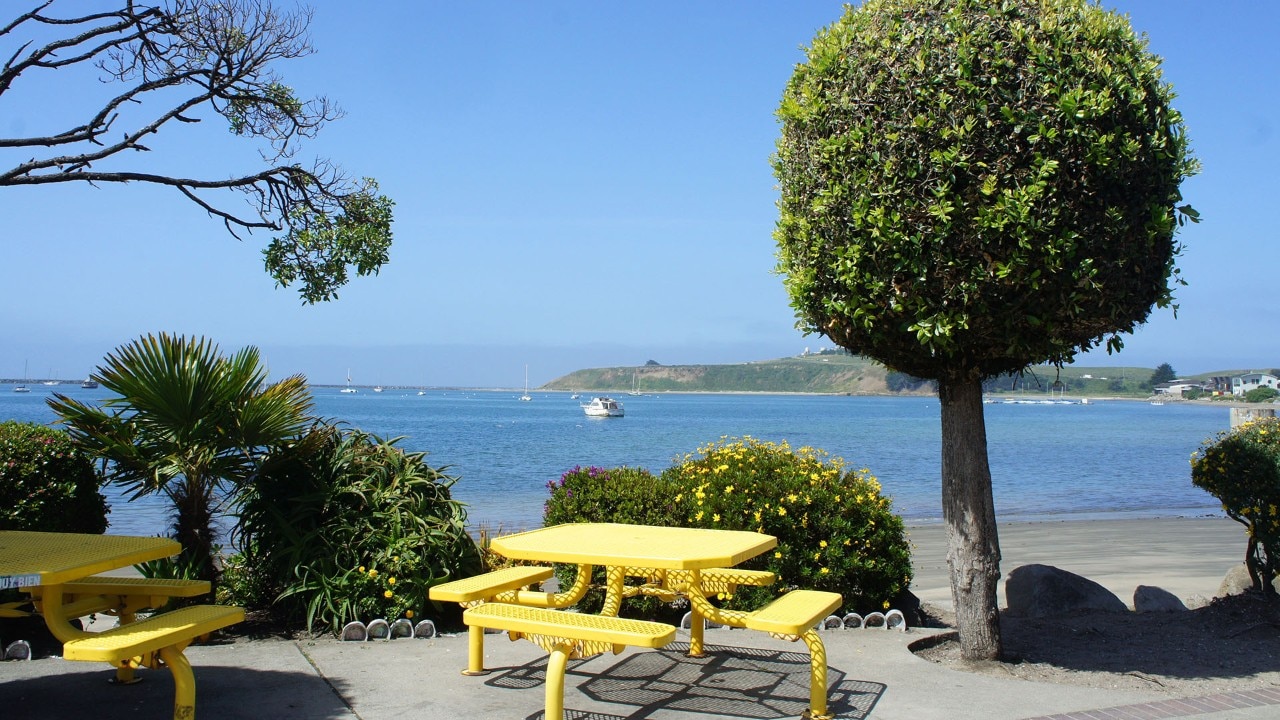 Bright yellow tables draw customers to Barbara’s Fishtrap, serving since 1971.