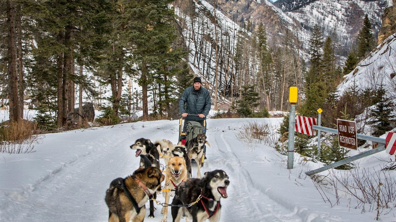 Dogsledding through the Absaroka-Beartooth Wilderness