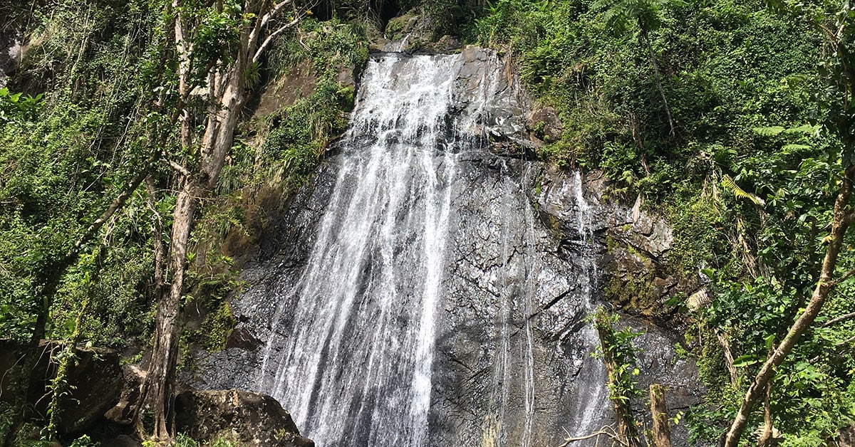 Los turistas pueden visitar las Cataratas de La Coca, uno de los lugares de interés accesibles mientras se recupera El Yunque.