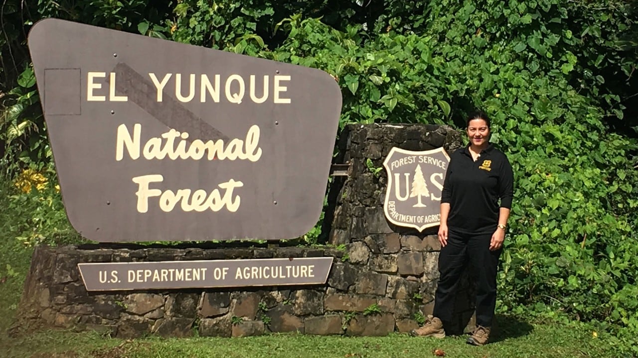 Grizelle González, investigadora del Bosque Nacional El Yunque