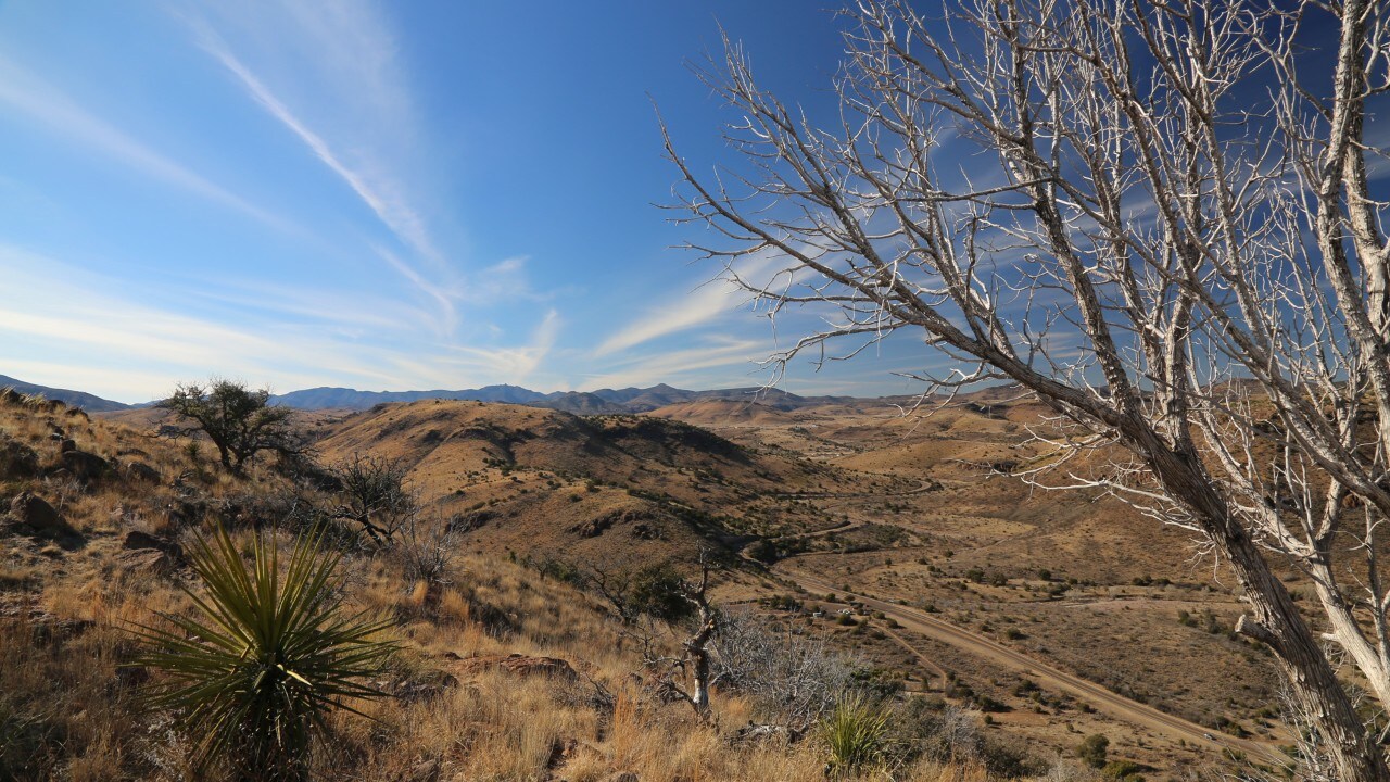 Davis Mountains State Park