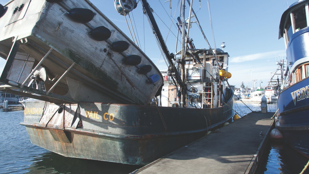 Fishermans Terminal