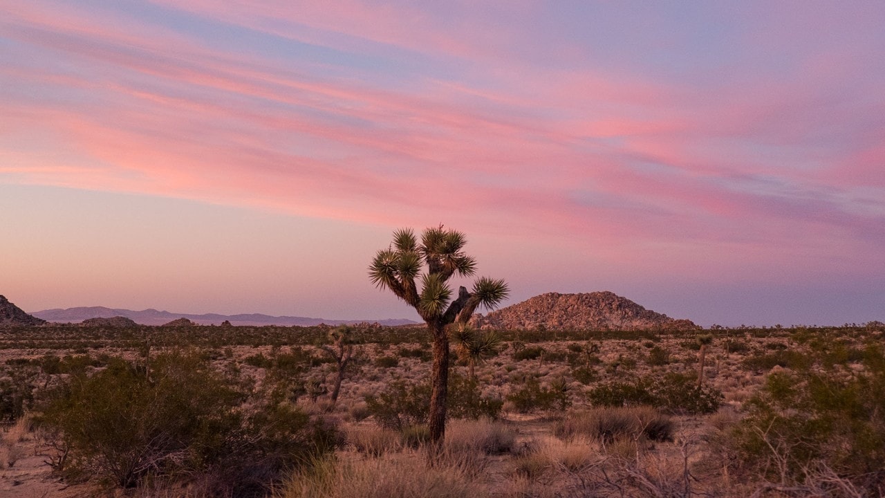 The sky turns shades of pink at sunset.